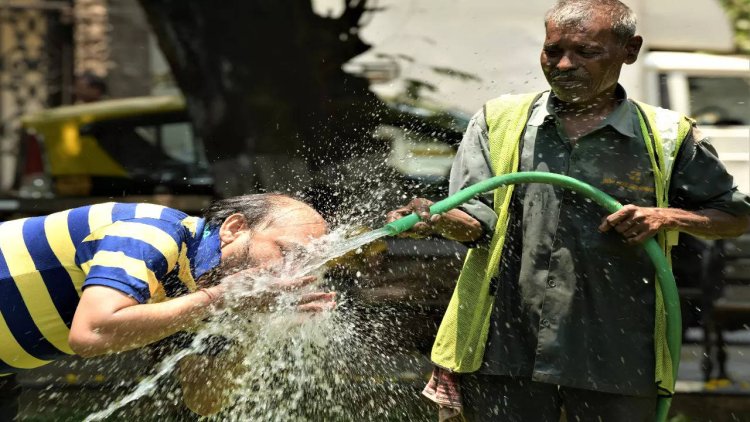 India to experience heat waves this year after hottest February